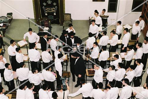 rabbi finkel