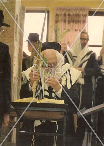 Rabbi Schach