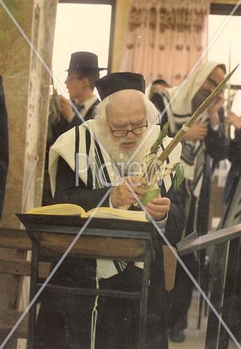 Rabbi Schach