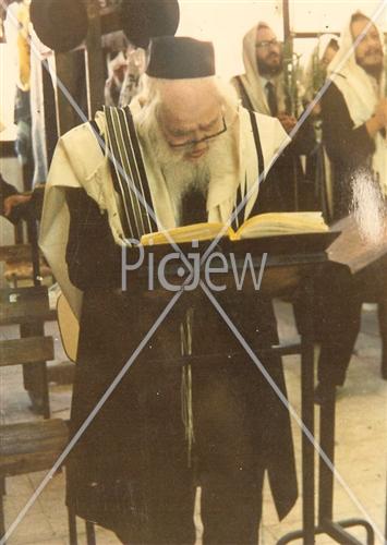 Rabbi Schach