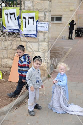 פוליטיקה בארץ