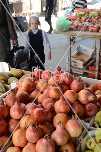 Erev Rosh Hashana