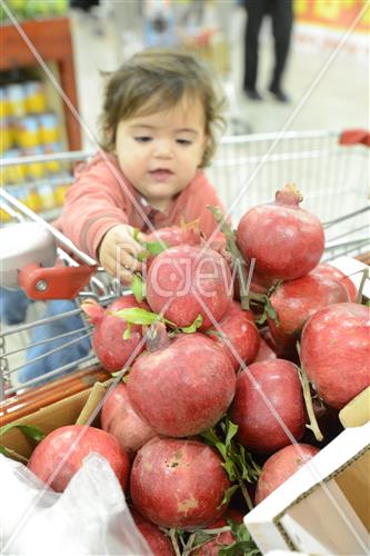 Erev Rosh Hashana