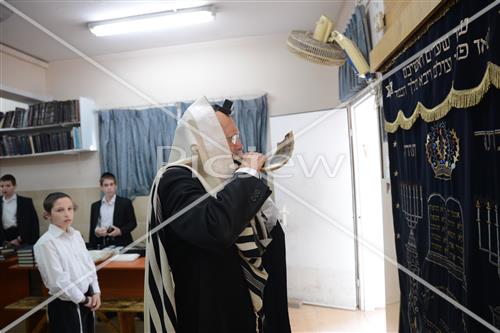 Blowing shofars
