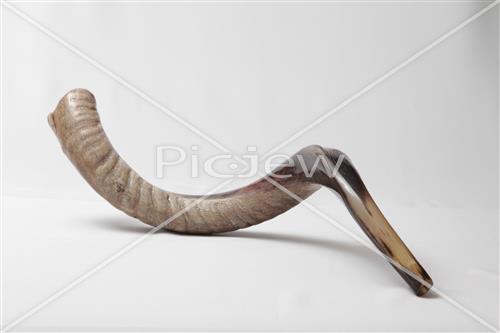 shofar