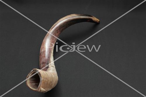 shofar