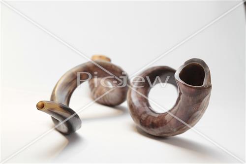 shofar