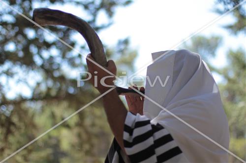 shofar