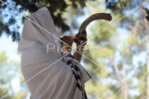 shofar