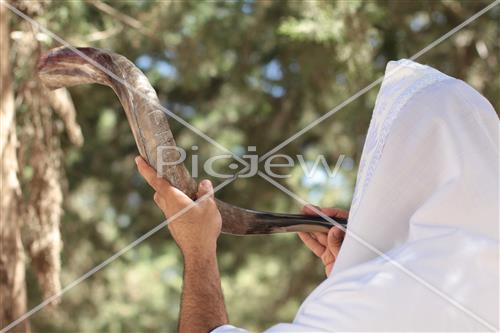 shofar