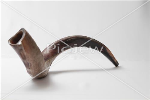 shofar