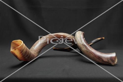 shofar