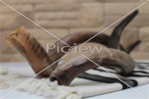 shofar