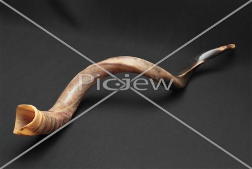 shofar