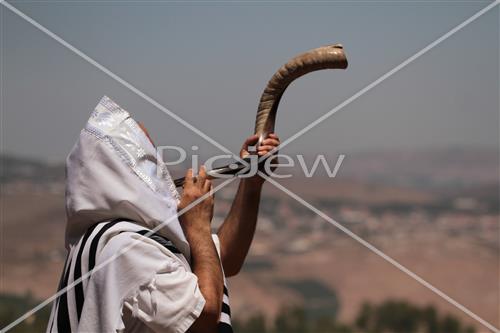 shofar