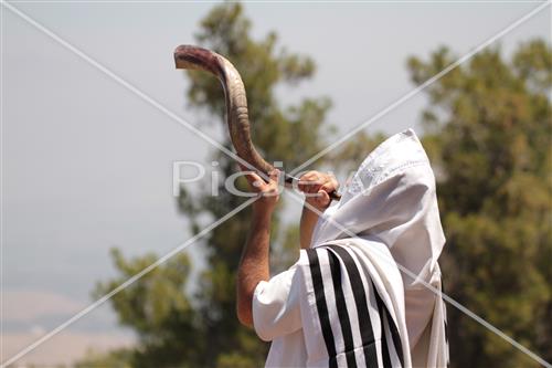 shofar