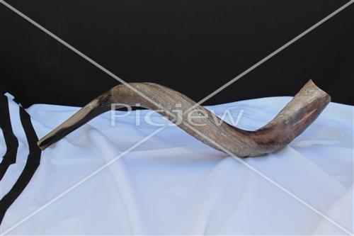 shofar