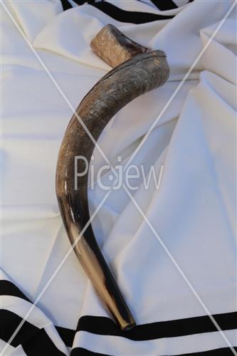 shofar