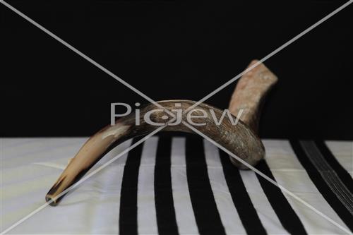 shofar