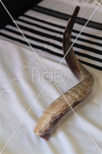 shofar