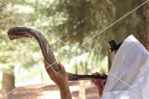 shofar