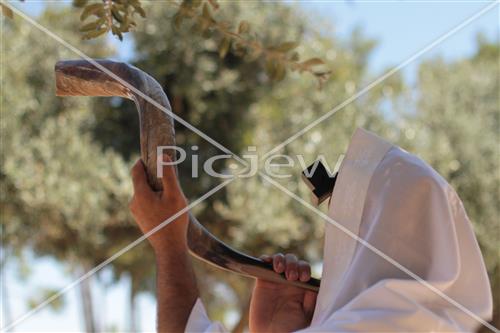 shofar