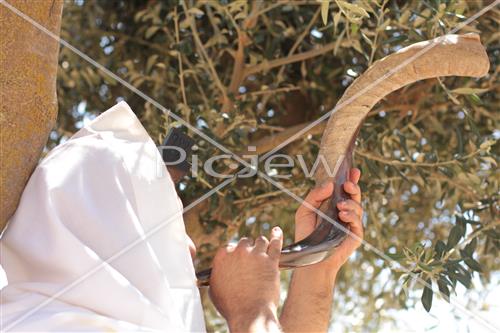 shofar