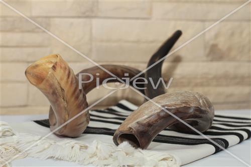 shofar