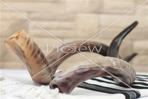 shofar