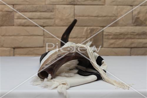 shofar