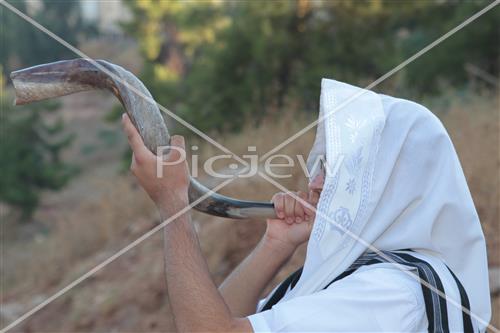 shofar