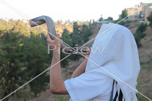 shofar