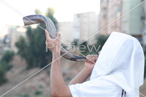 shofar