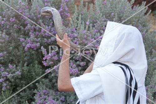 shofar