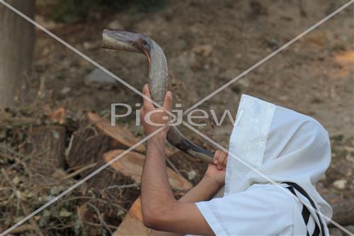 shofar