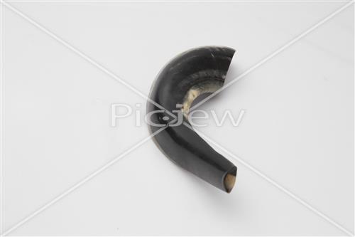 shofar