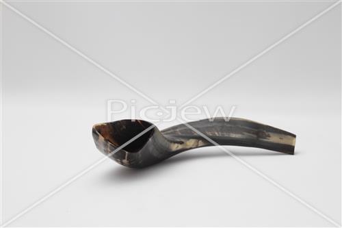 shofar