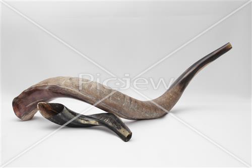 shofar