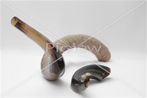 shofar