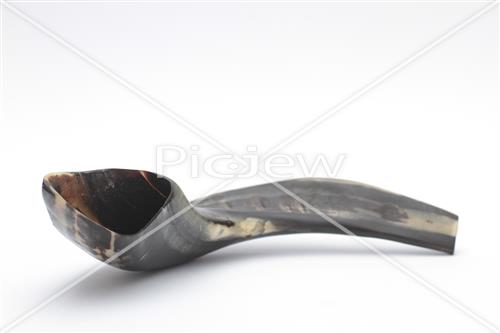 shofar