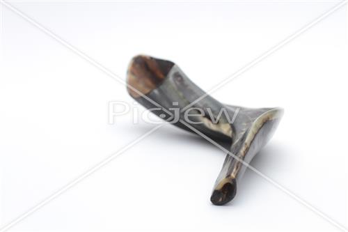 shofar