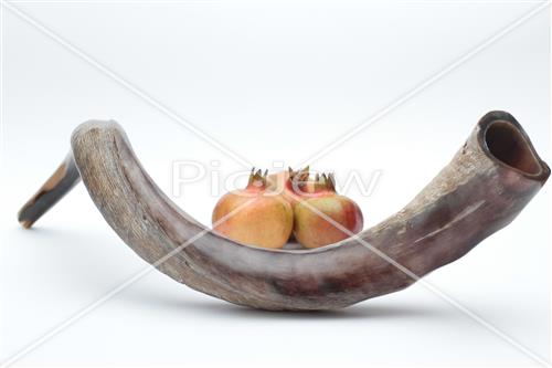 shofar