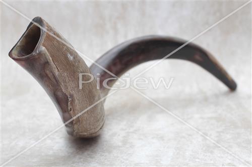 shofar