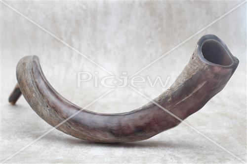 shofar