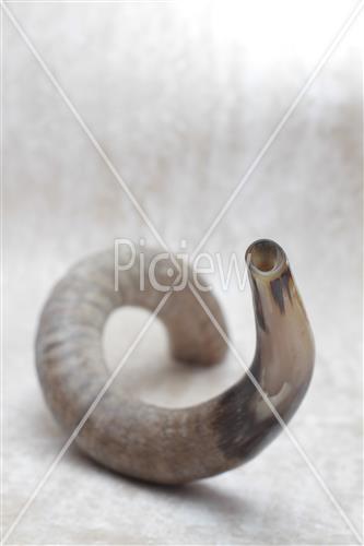 shofar