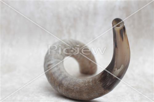 shofar