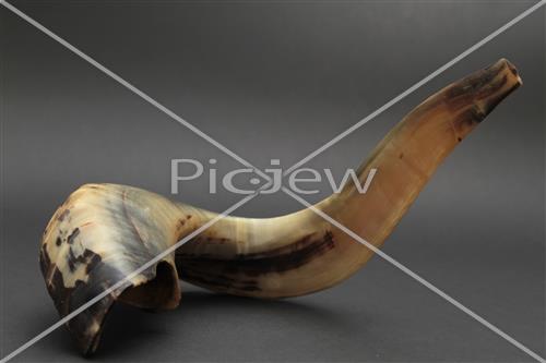 shofar