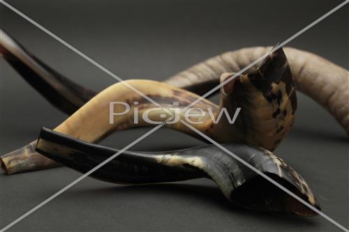 shofar