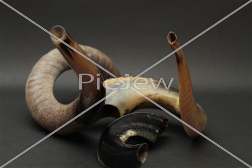 shofar