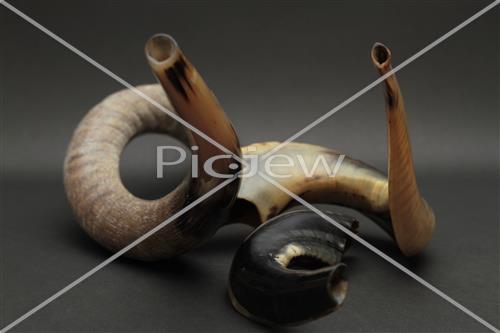 shofar